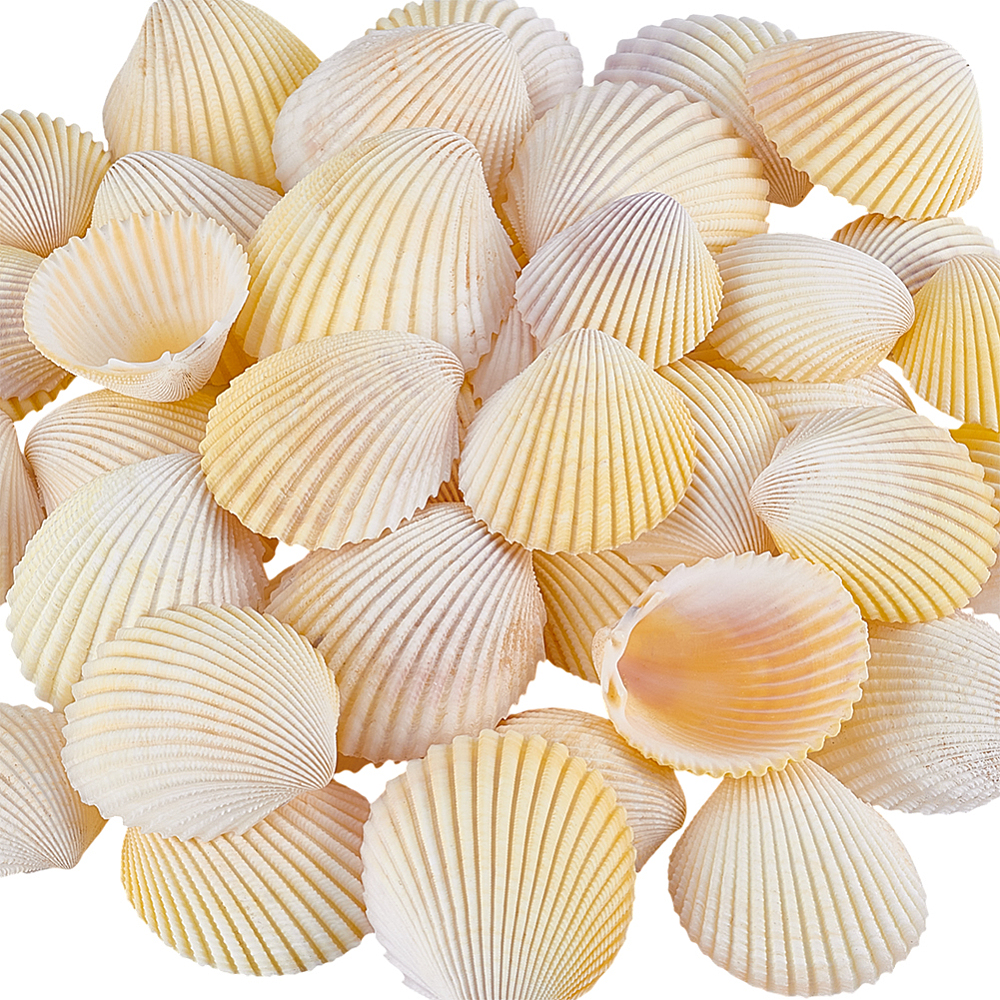 Aquarium Fish Yellow - 40Pcs Shell for Aquarium Fish Ornaments
