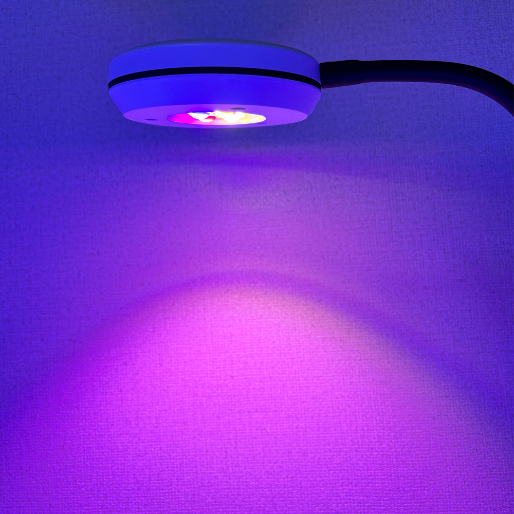 Spectra 20W Nano Clip ON Refug - Refugium Light Nano review and price
