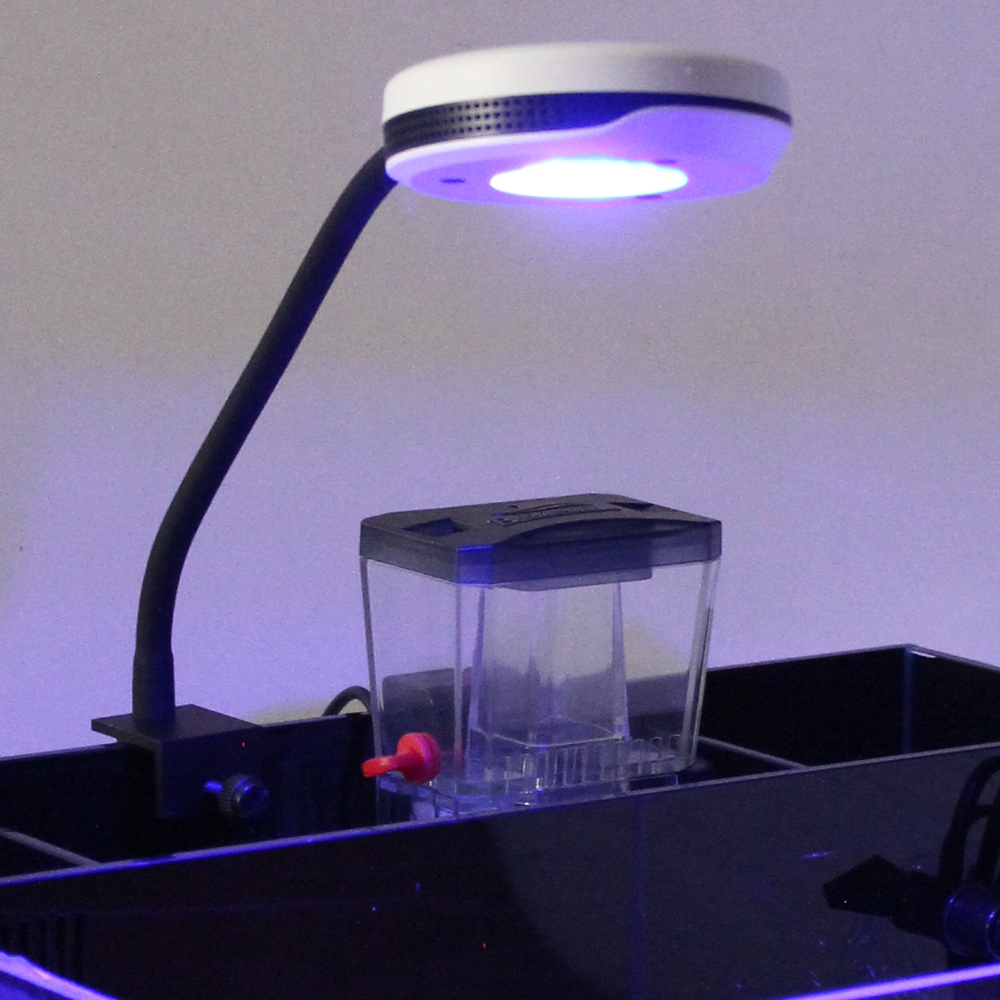 Spectra 20W Nano Clip ON Refug - Refugium Light Nano review and price