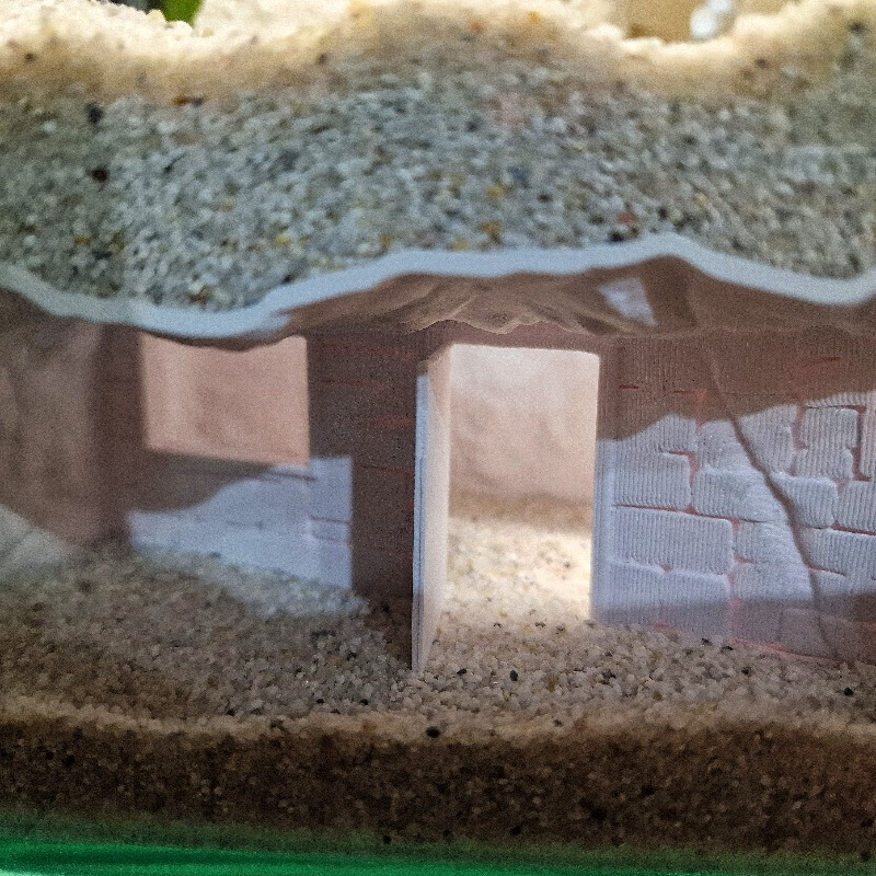 3D Printed Secret House Fish T - Aquarium Fish Hide review and price