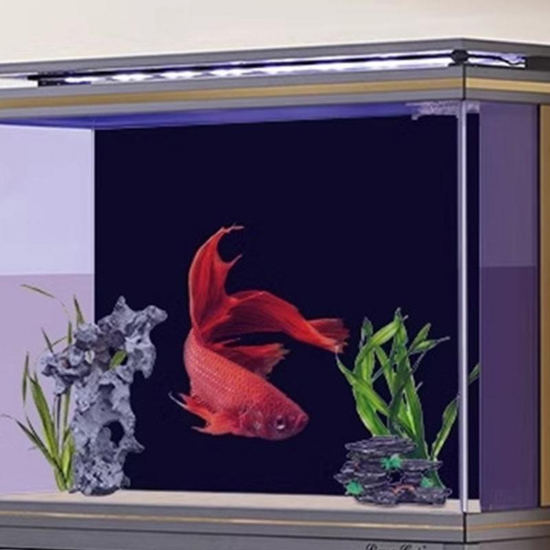 Black Aquarium Background Wall - Aquarium Fish Wallpaper review and price