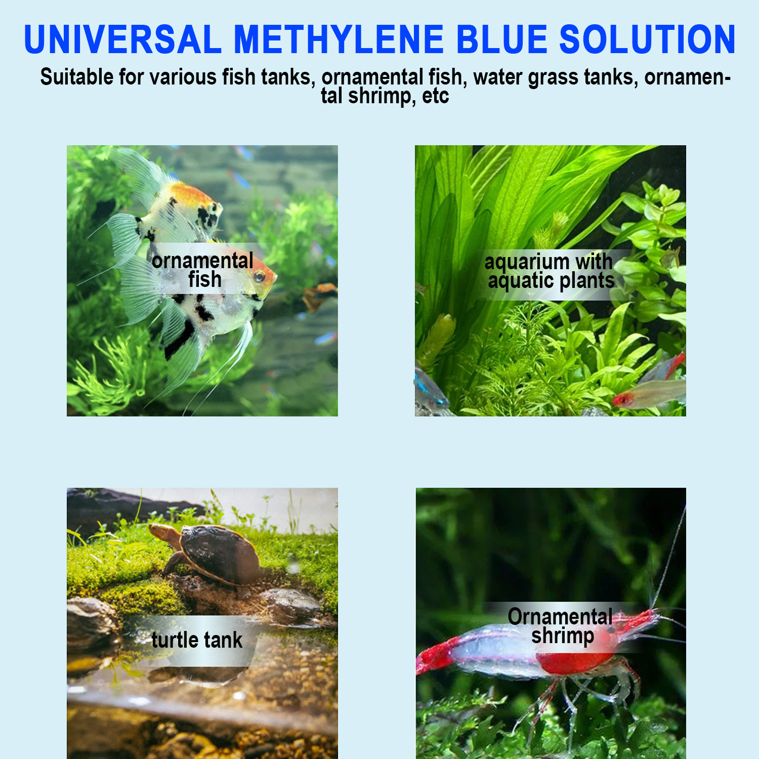 Methylene Blue Solution Aquari - Aquarium Fish Parasites review and price