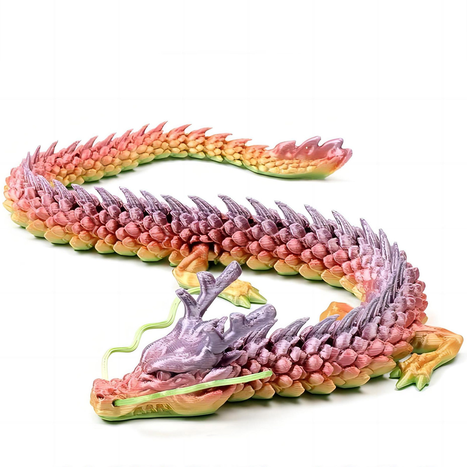 3D Printed Conjoined Dragon Or - Aquarium Fish Cartoon review and price