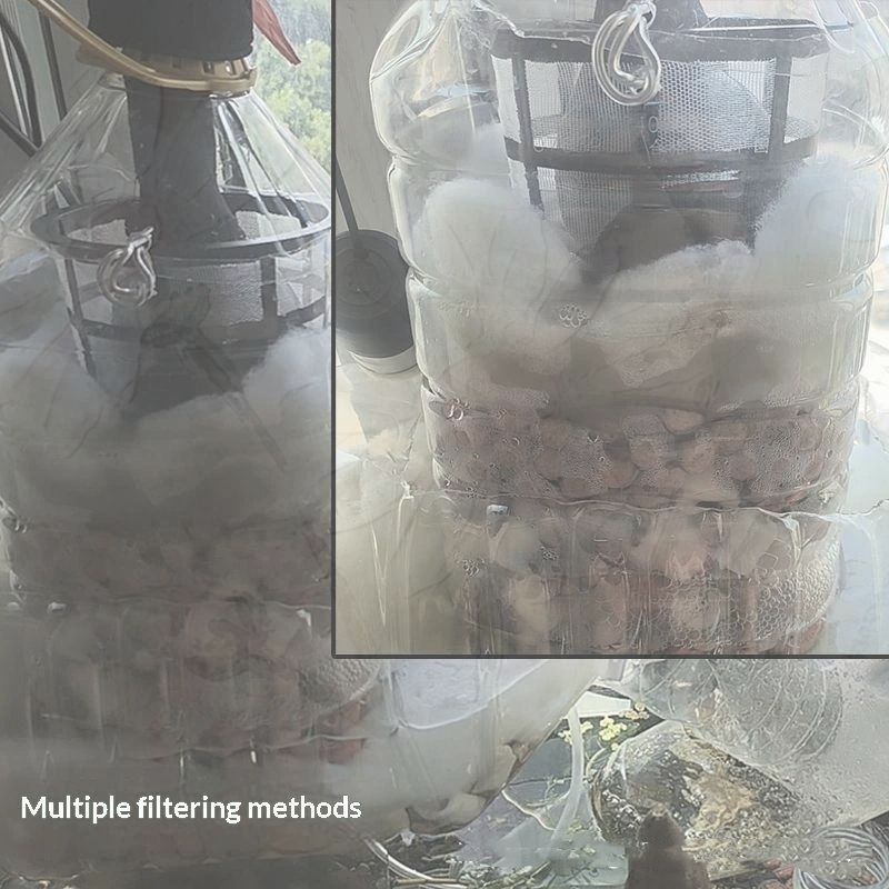 ㉻10pcs Floating Fish Fry Cage  - Aquarium Fish In Pond review and price