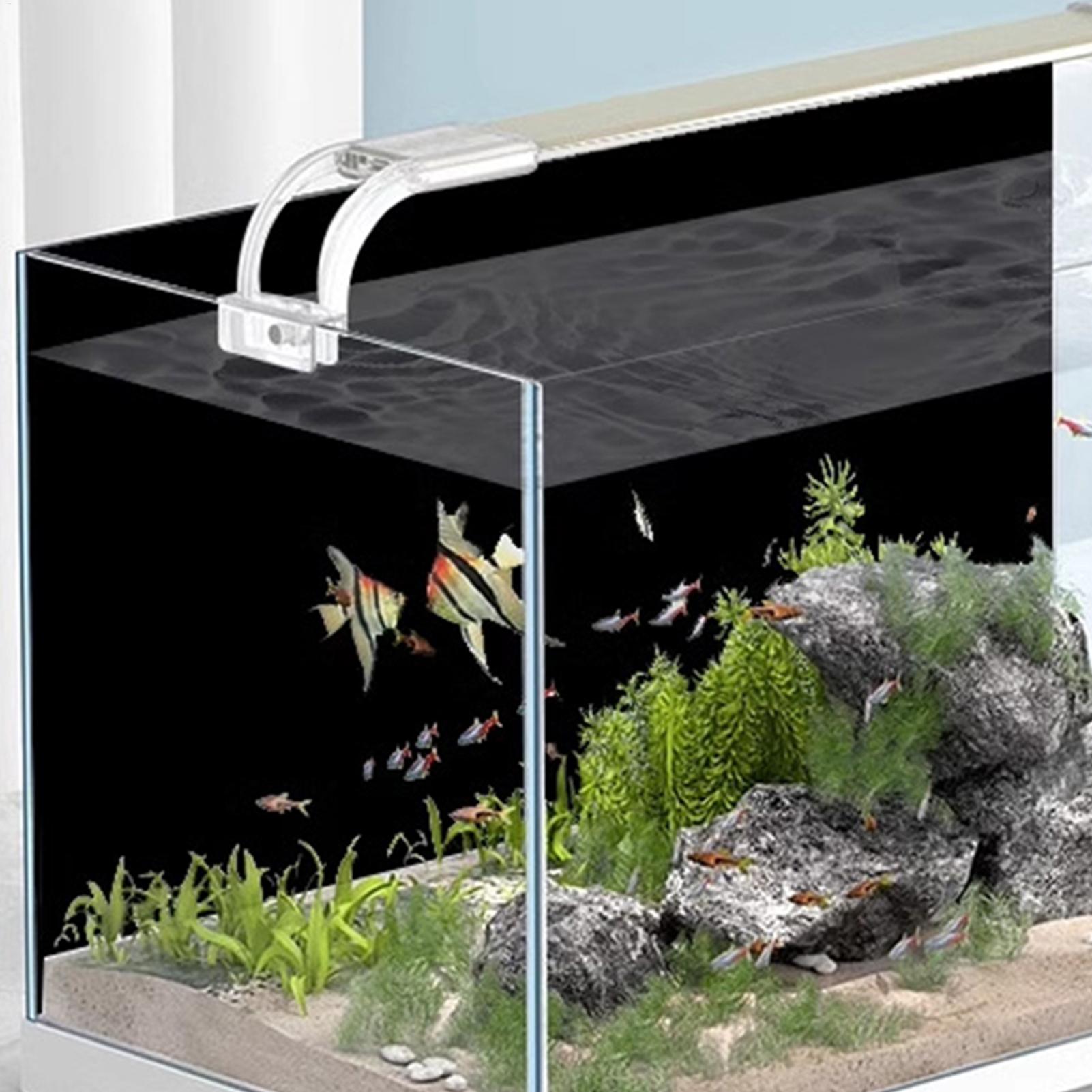 Black Aquarium Background Stat - Aquarium Fish Wallpaper review and price