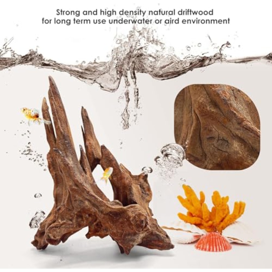 Natural Aquarium for Fish Tank - Aquarium Fish Unique review and price