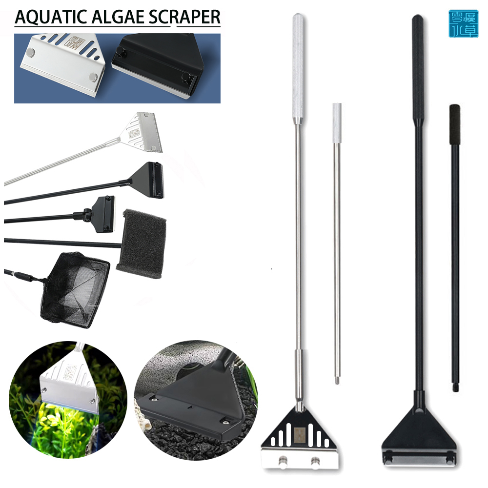 Stainless Steel Aquarium Fish  - Algae Scraper Blade review and price