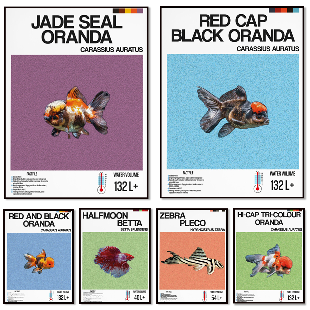 Fish information print, orname - Aquarium Fish Zebra review and price