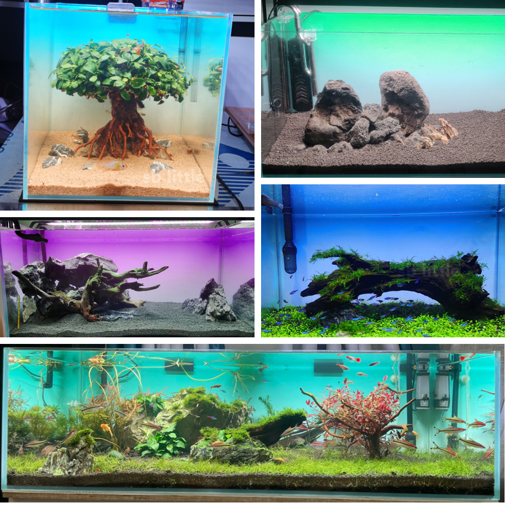Fish Tank Background Sticker W - Aquarium Fish Yellow review and price