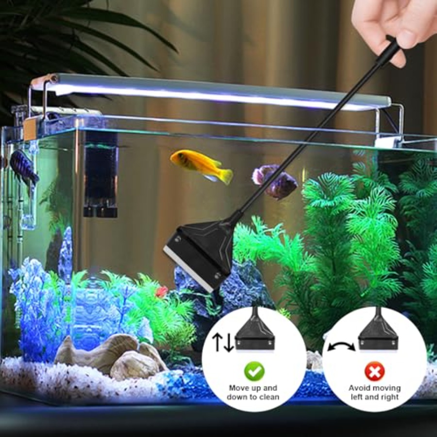 Algae Scraper for Glass Aquari - Algae Scraper Blade review and price