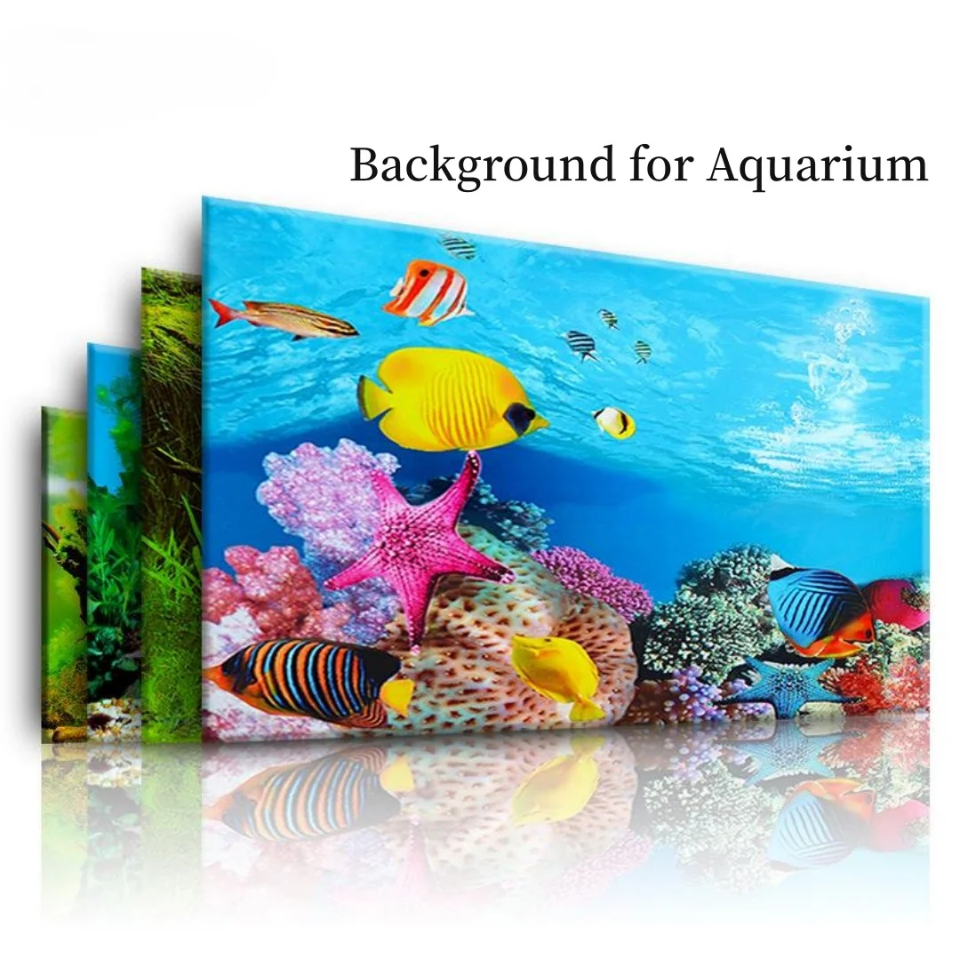 Background Aquarium 3D Sticker - Aquarium Fish Cartoon review and price