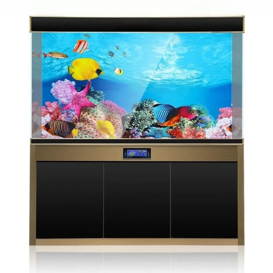 Background Aquarium 3D Sticker - Aquarium Fish Cartoon review and price