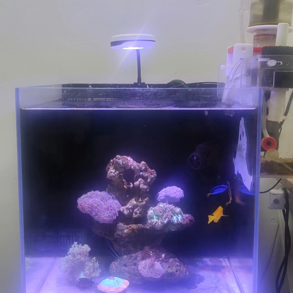 20W Spectra SP20 Ac110-240V Fr - Refugium Light Nano review and price