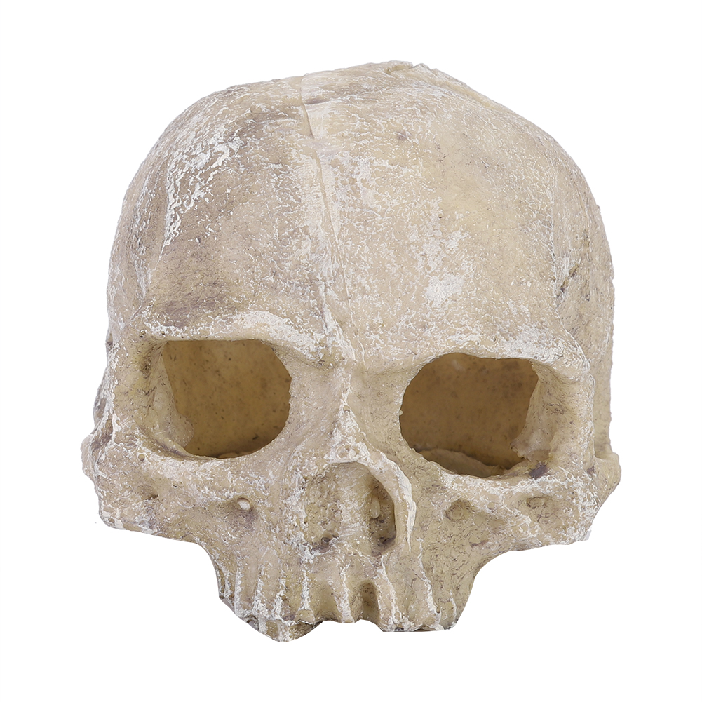 Resin Simulated Head Bone Skul - Aquarium Fish Hide review and price