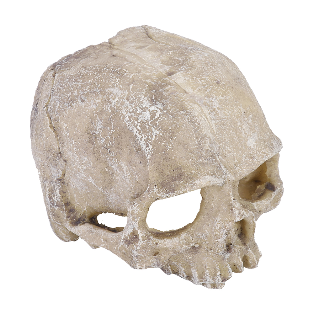 Resin Simulated Head Bone Skul - Aquarium Fish Hide review and price