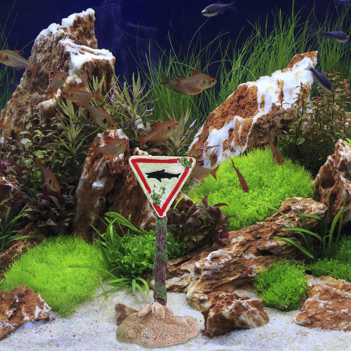 Cartoon Resin Fish Tank Warnin - Aquarium Fish Unique review and price