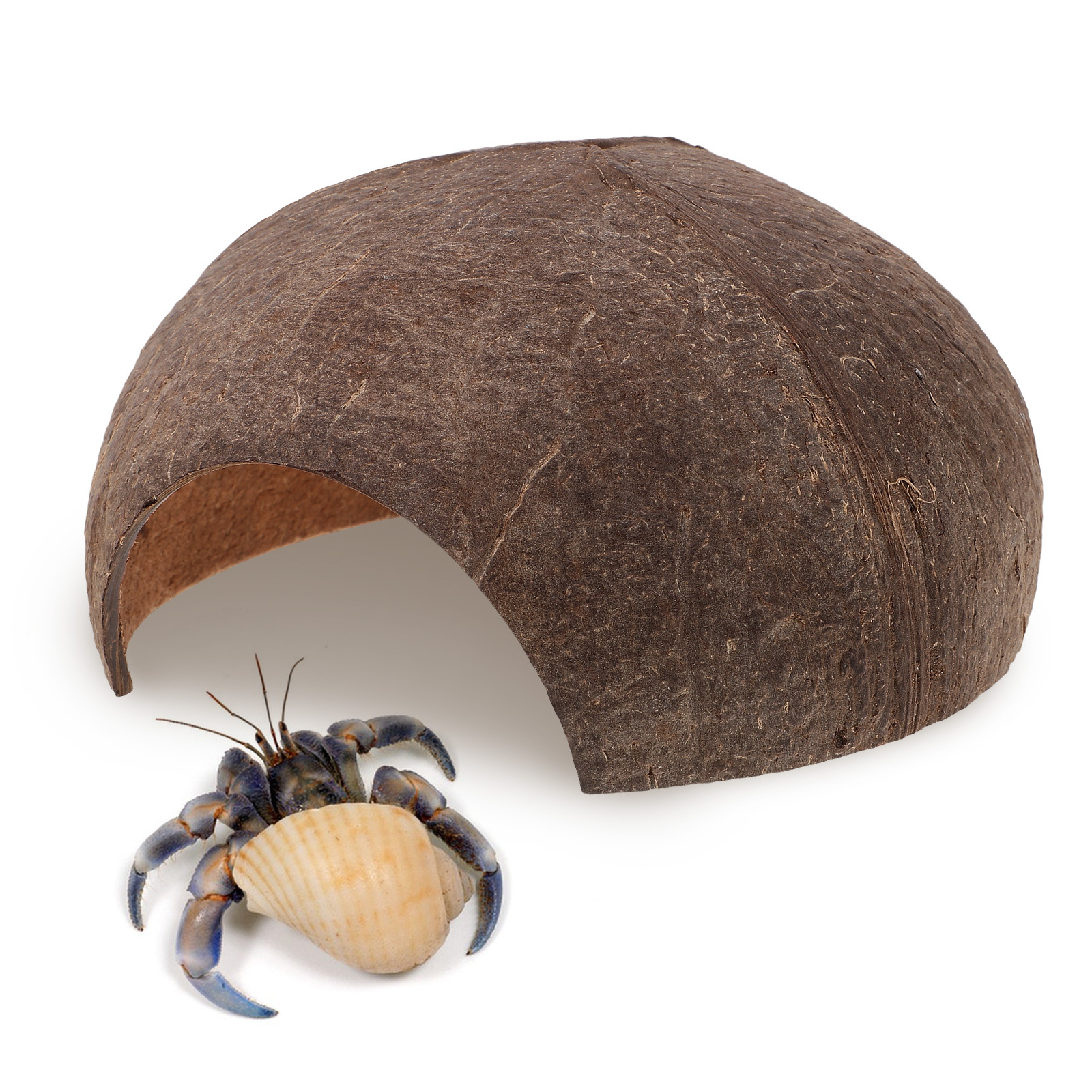 Coconut Shell Hideout Reptile  - Aquarium Fish Hide review and price