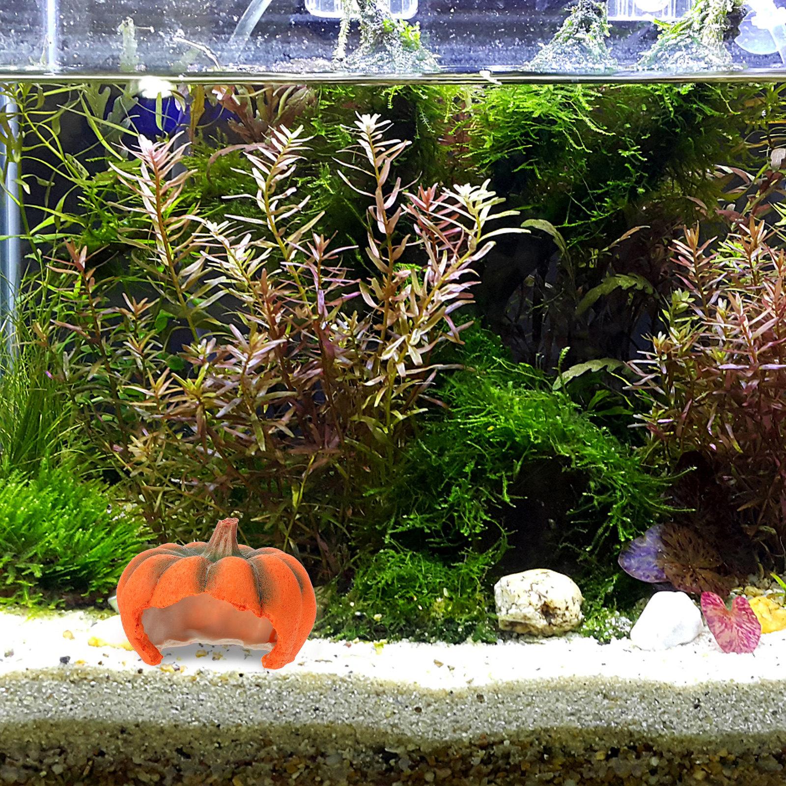 Pumpkin Aquarium Decor Yellow  - Aquarium Fish Yellow review and price