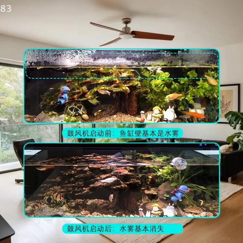 Reliable DC 5V Aquarium Fan fr - Aquarium Xiaomi review and price
