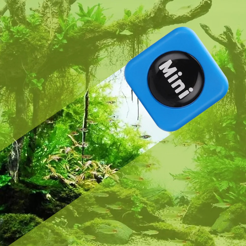 Aquarium Magnetic Brush Glass  - Algae Scraper Blade review and price