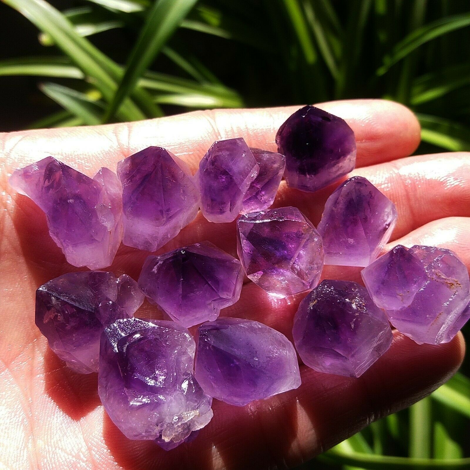 Natural Unique Lavender Amethy - Aquarium Fish Unique review and price