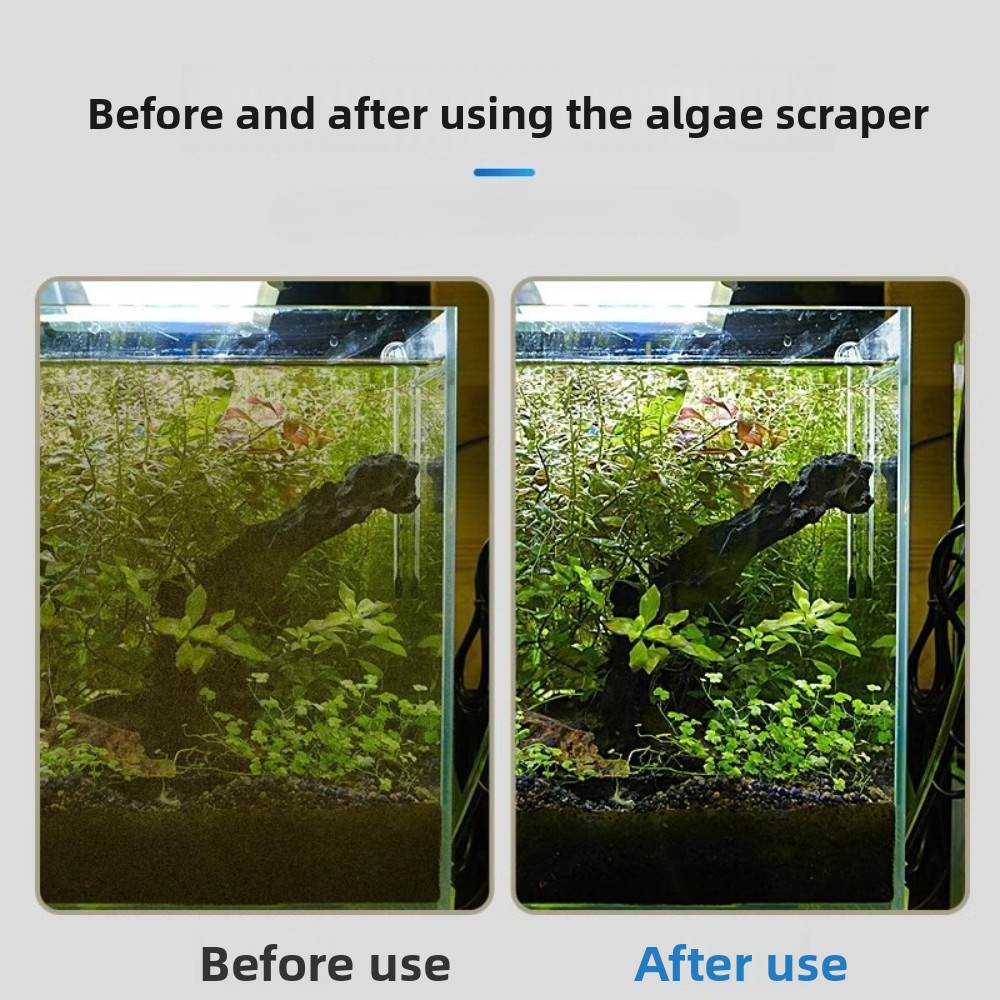 Dual-use Aquarium Algae Scrape - Algae Scraper Blade review and price
