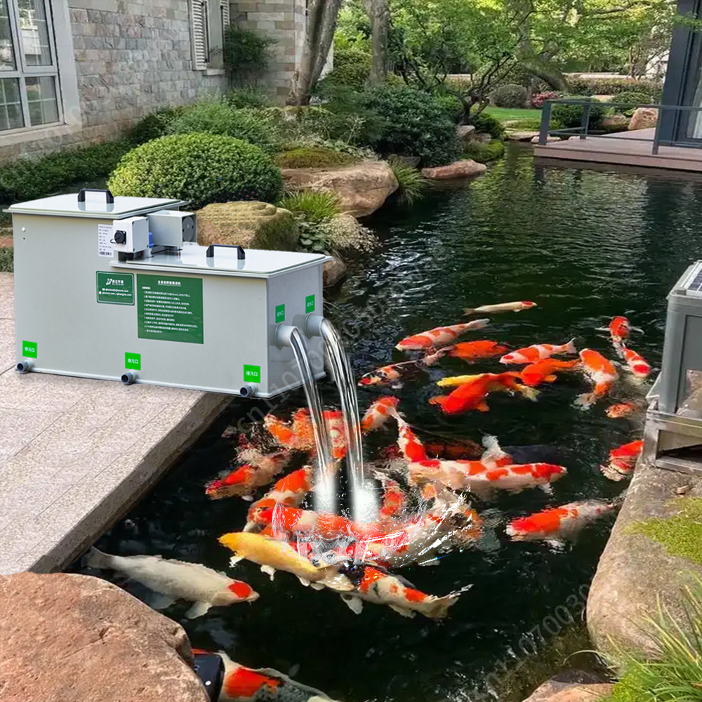 Outdoor Garden Pond Filtration - Aquarium Fish In Pond review and price