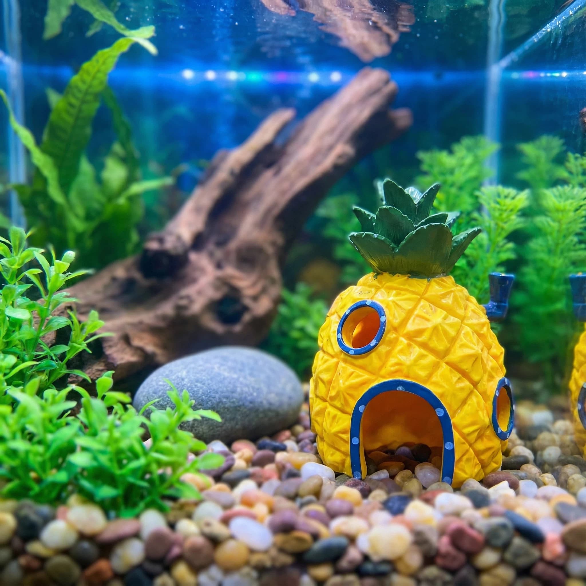 Pineapple House Aquarium Decor - Aquarium Fish Hide review and price