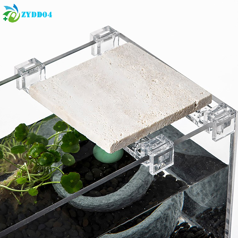 ●4pcs 6mm/8mm/10mm Fish Tank A - Aquarium Fish And Supplies review and price