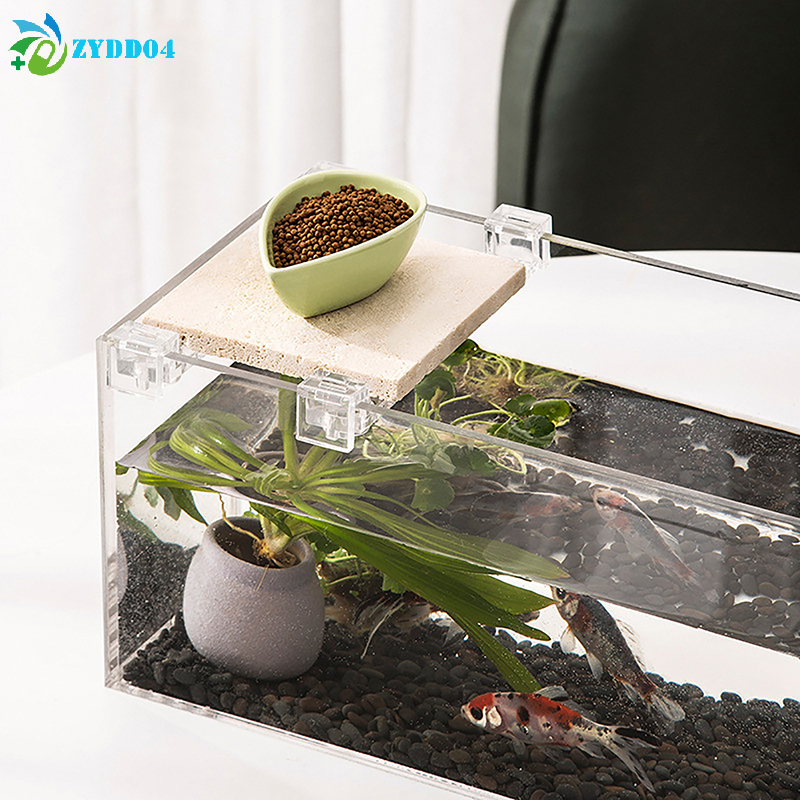 ●4pcs 6mm/8mm/10mm Fish Tank A - Aquarium Fish And Supplies review and price