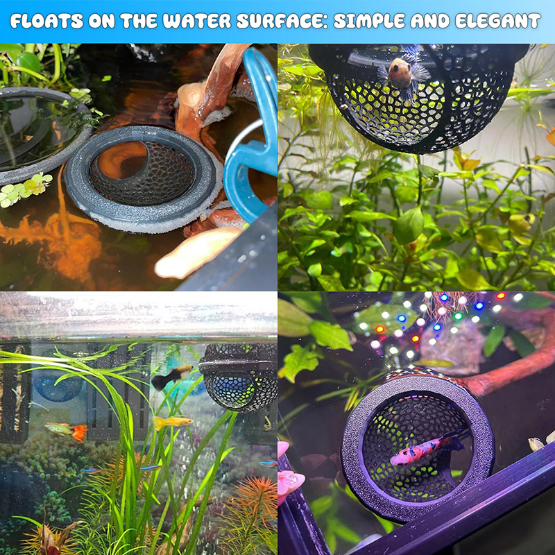 Ring FLoatinG Betta Hide Shrim - Aquarium Fish Hide review and price