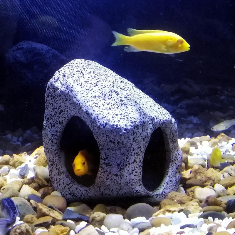 Fish Tank Cave Stone Landscapi - Aquarium Fish Hide review and price