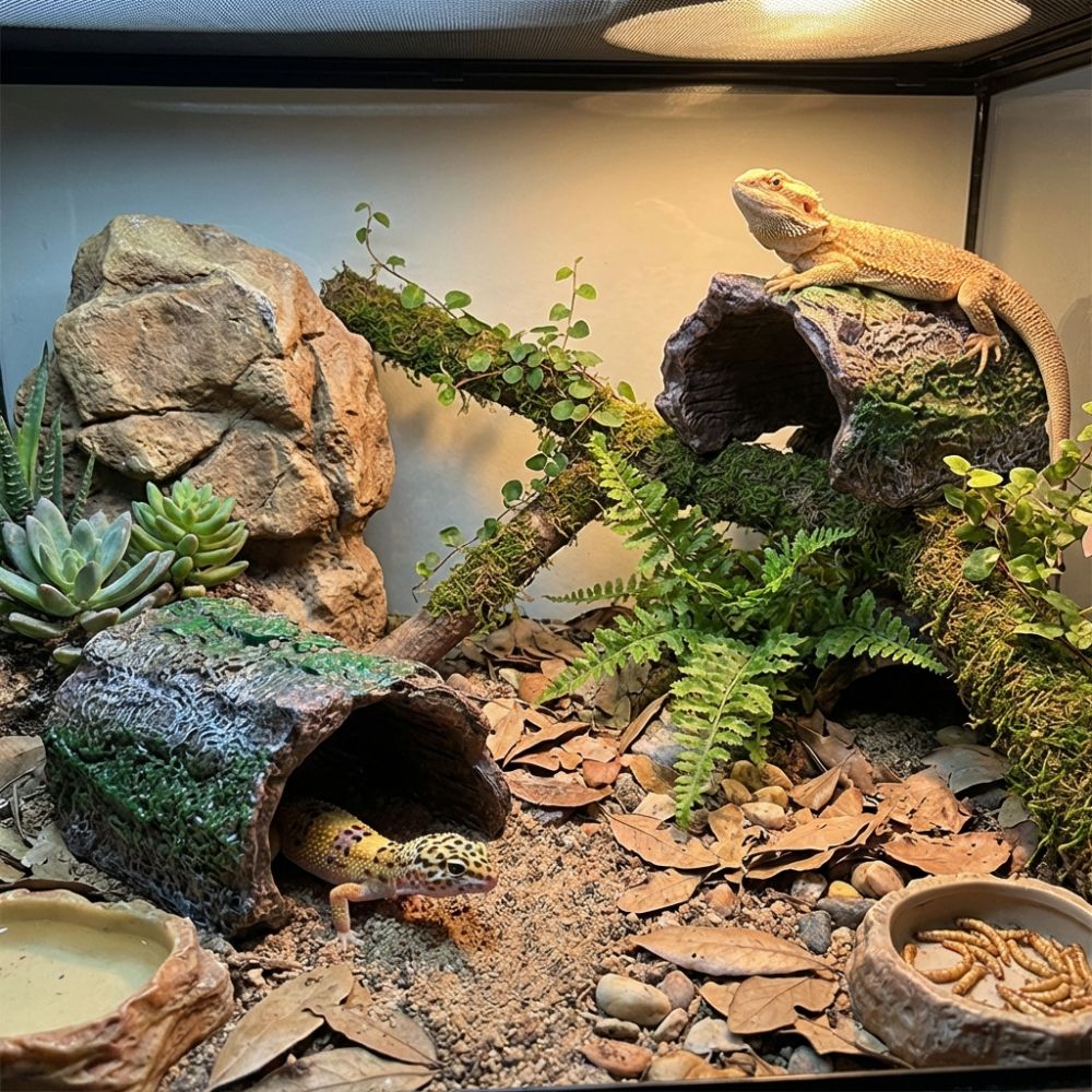 Simulation Reptile Hideout Hol - Aquarium Fish Hide review and price
