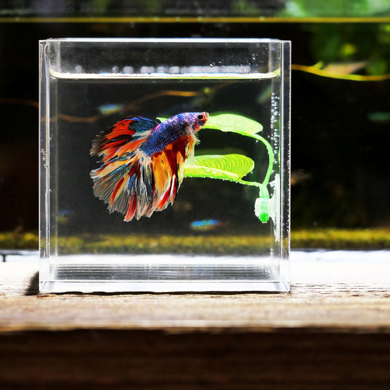 Artificial Aquarium Leaf Plant - Aquarium Fish Hide review and price