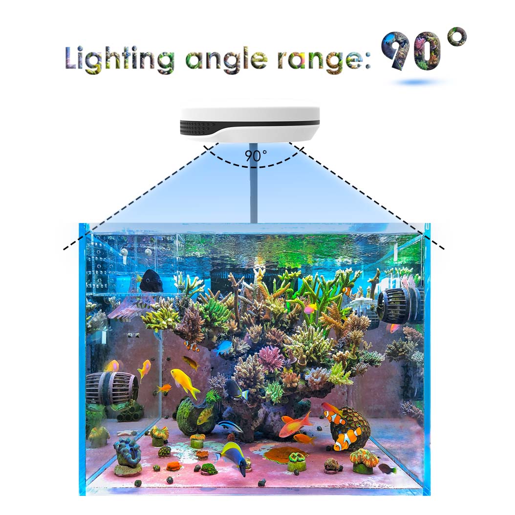 Clip on 20W LED Aquarium Light - Refugium Light Nano review and price